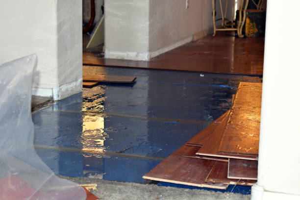 Professional Water Damage Restoration technician working in Kennard, IN
